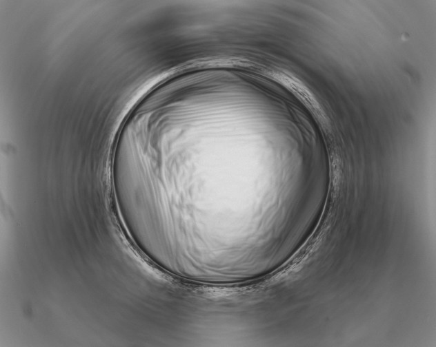 X0000090610852200708071202