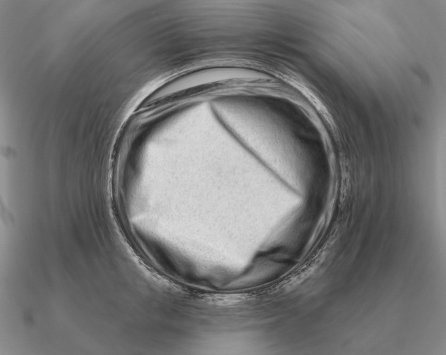 X0000090610853200708071202