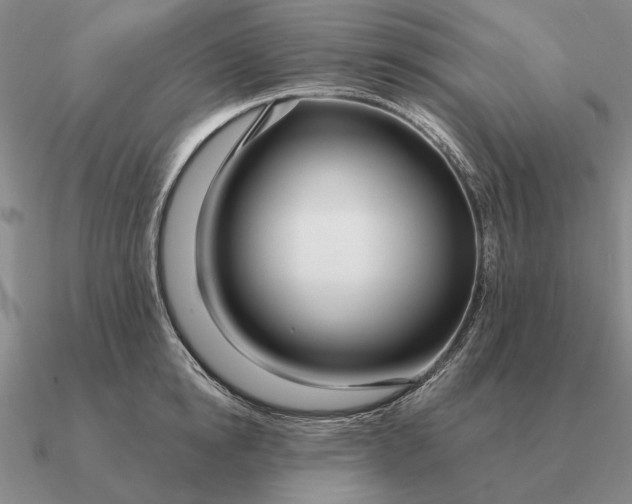 X0000090610854200708071202