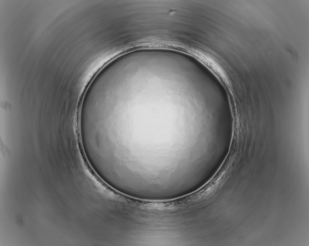 X0000090610855200708071202