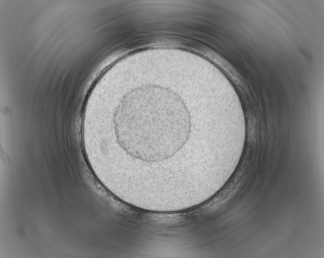 X0000090610856200708071202