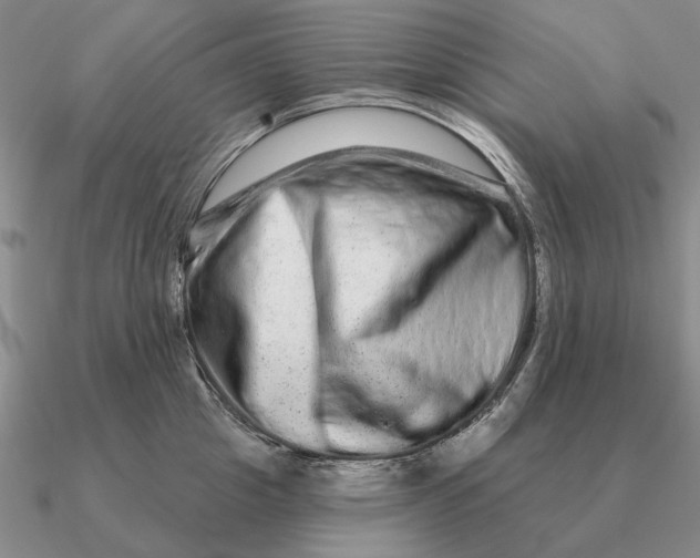 X0000090610857200708071202