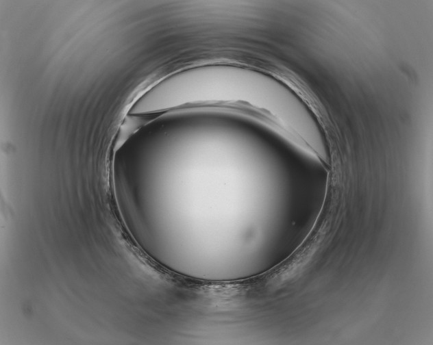 X0000090610858200708071202