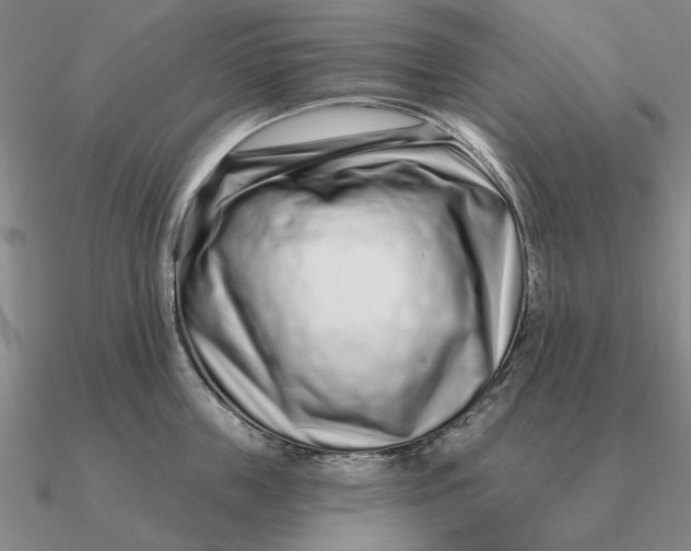 X0000090610859200708071202