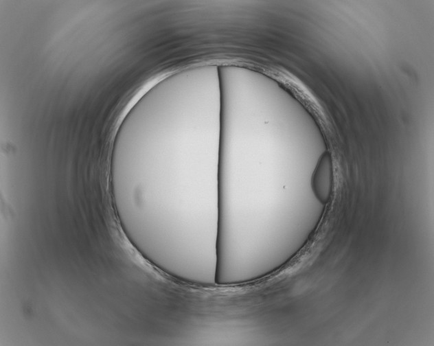 X0000090610860200708071202