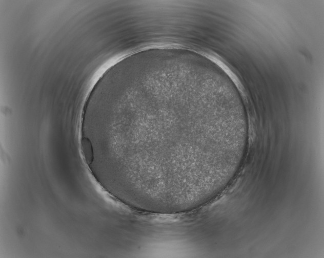 X0000090610861200708071202