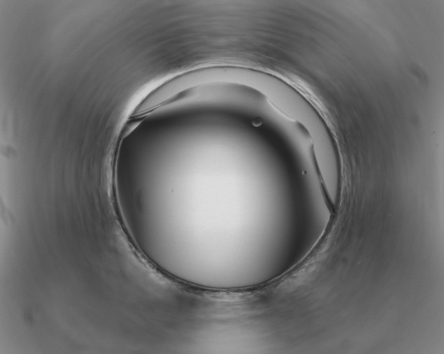 X0000090610862200708071202