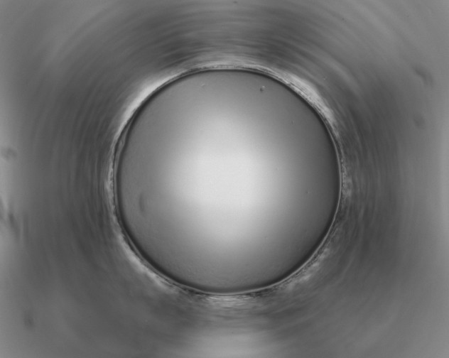 X0000090610863200708071202