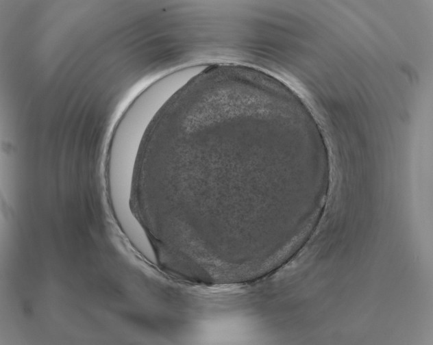 X0000090610864200708071202