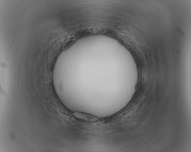 X0000090610865200708071201