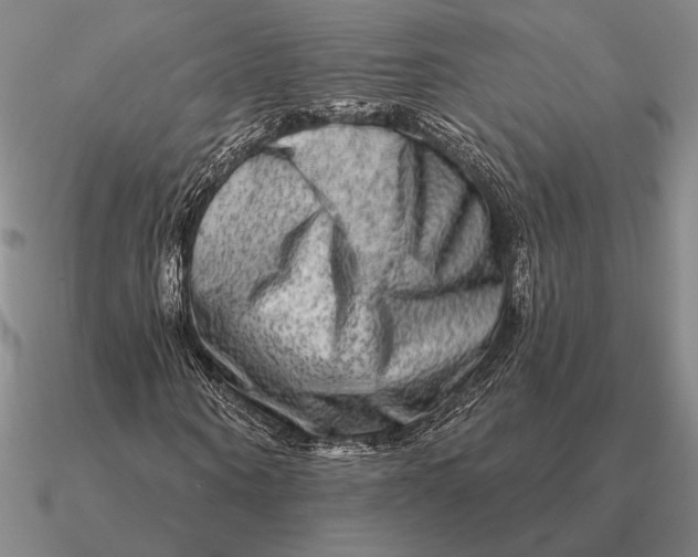 X0000090610866200708071201