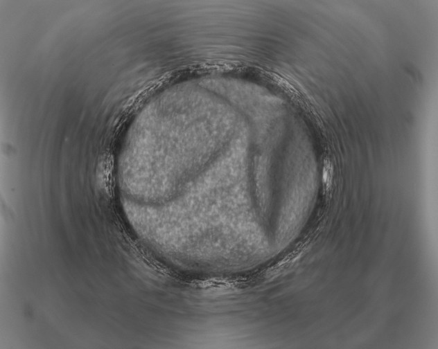 X0000090610867200708071201