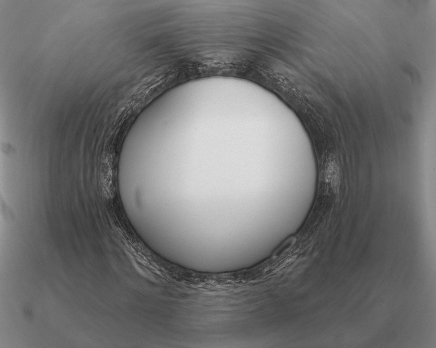 X0000090610868200708071201