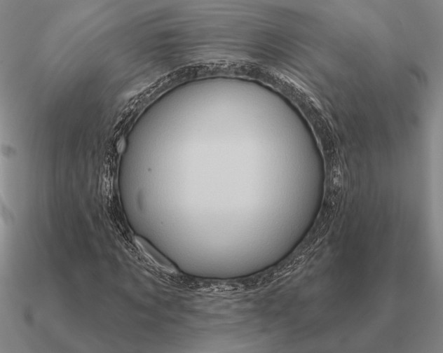 X0000090610869200708071201