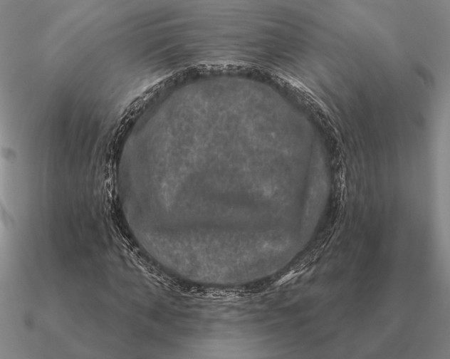 X0000090610870200708071201