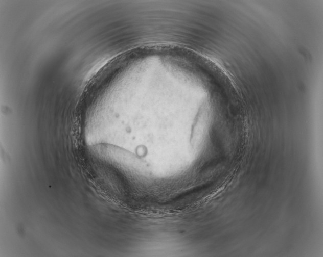 X0000090610871200708071201