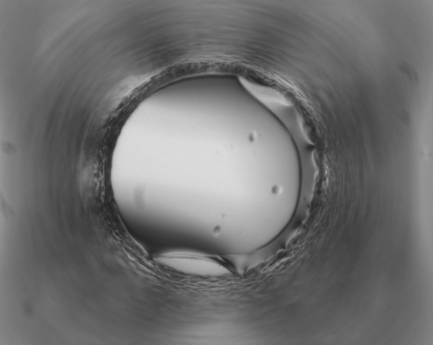 X0000090610872200708071201