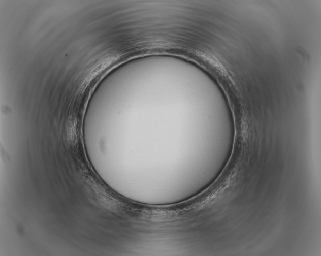 X0000090610873200708071201