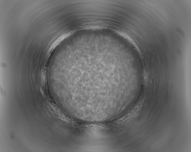 X0000090610874200708071201