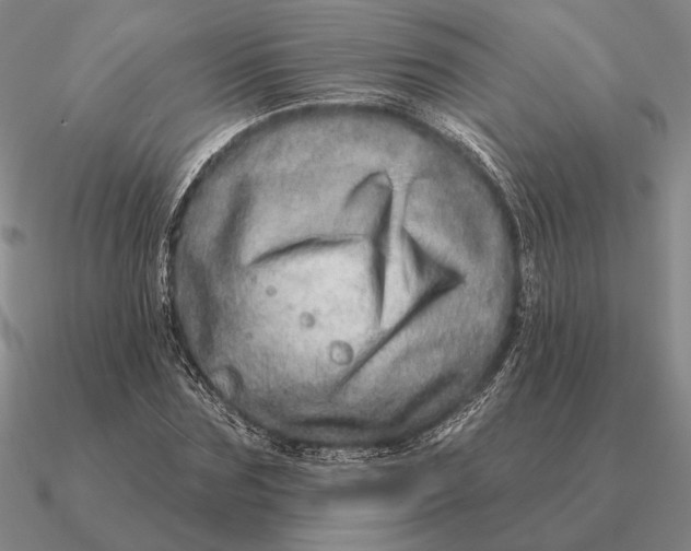 X0000090610875200708071201