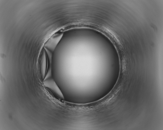 X0000090610876200708071201