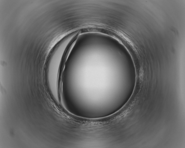 X0000090610877200708071201