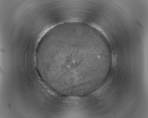 X0000090610878200708071201