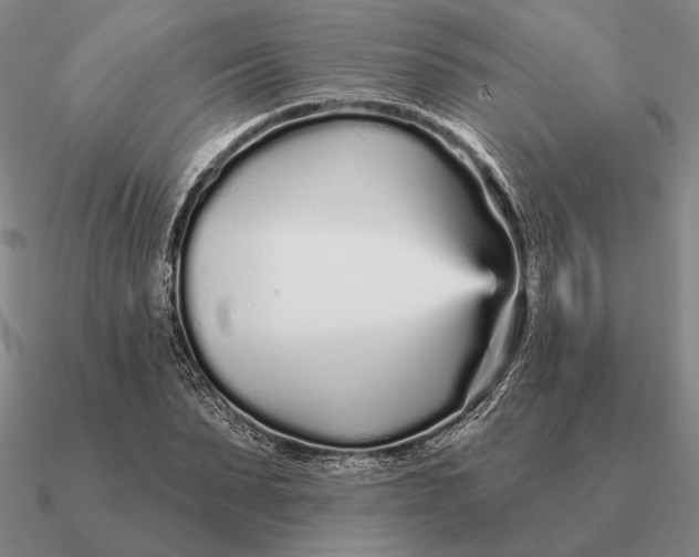 X0000090610879200708071201