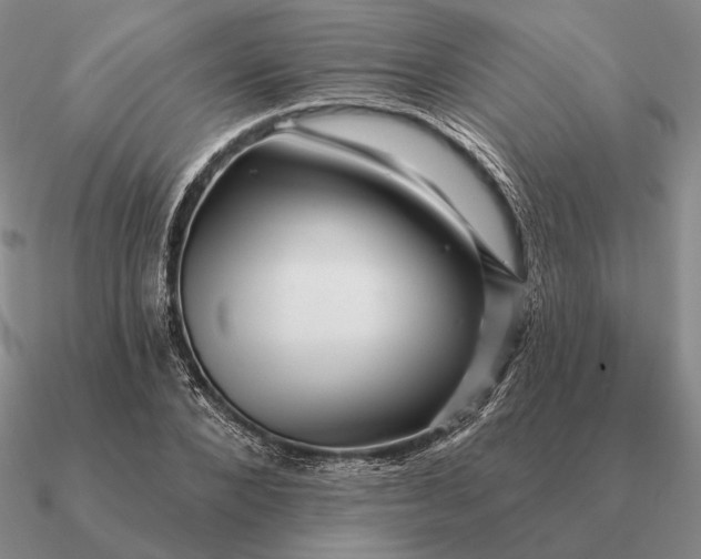 X0000090610880200708071201