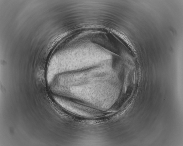 X0000090610881200708071201