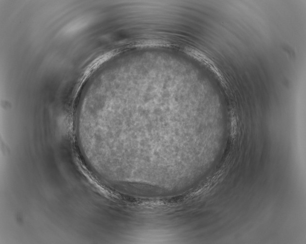 X0000090610882200708071201