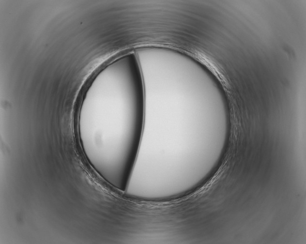 X0000090610884200708071201