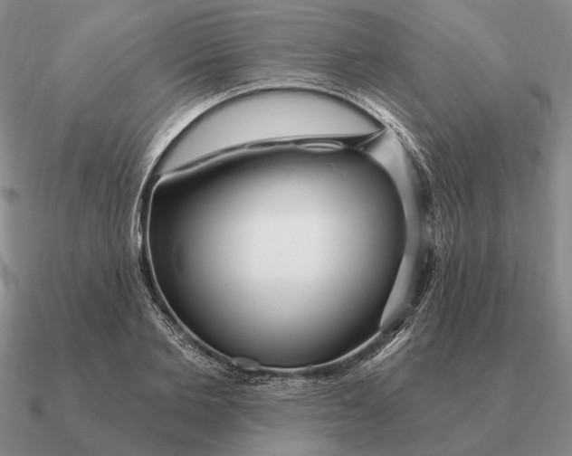 X0000090610885200708071201