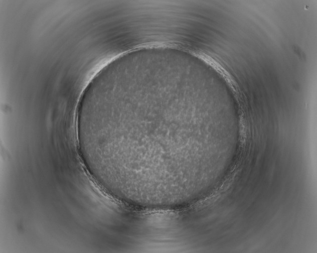 X0000090610886200708071201