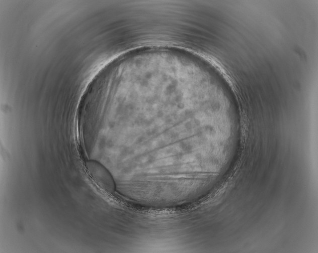 X0000090610887200708071201