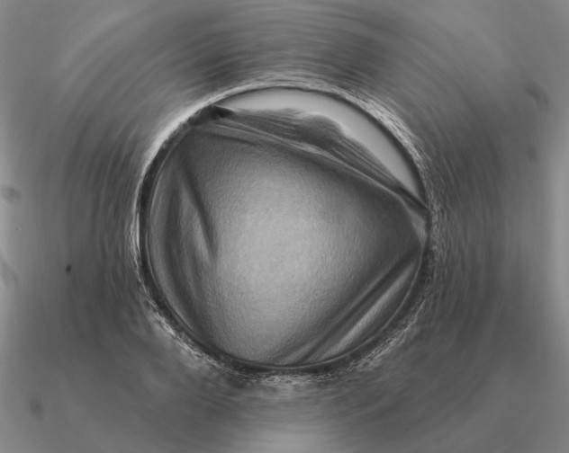 X0000090610888200708071201