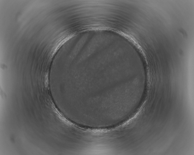 X0000090610889200708071201