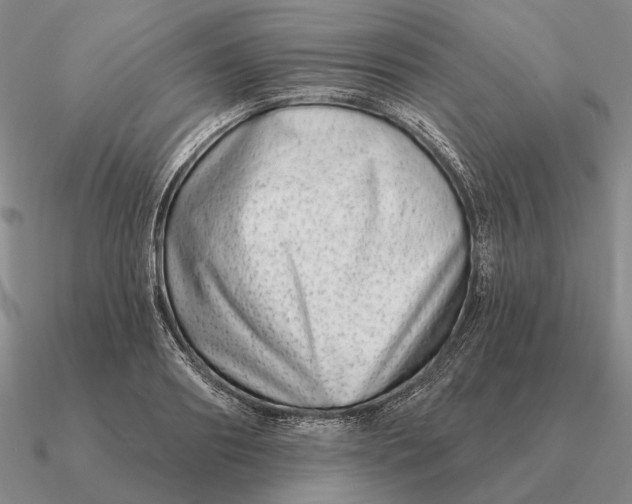 X0000090610890200708071201