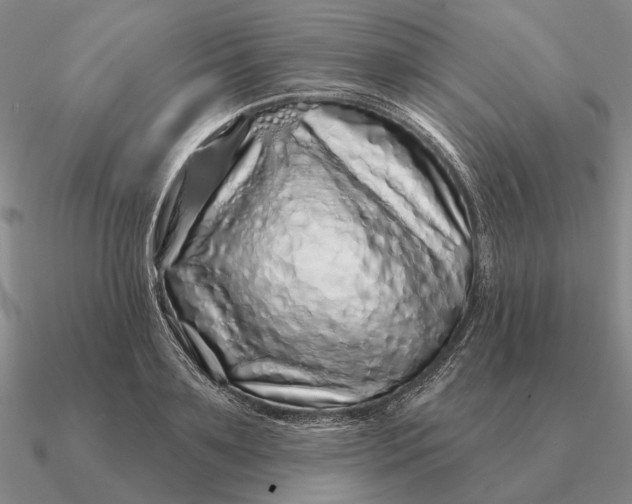 X0000090610891200708071201