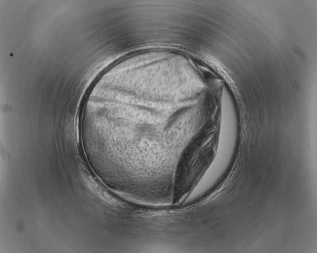 X0000090610892200708071201