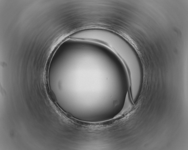 X0000090610893200708071201