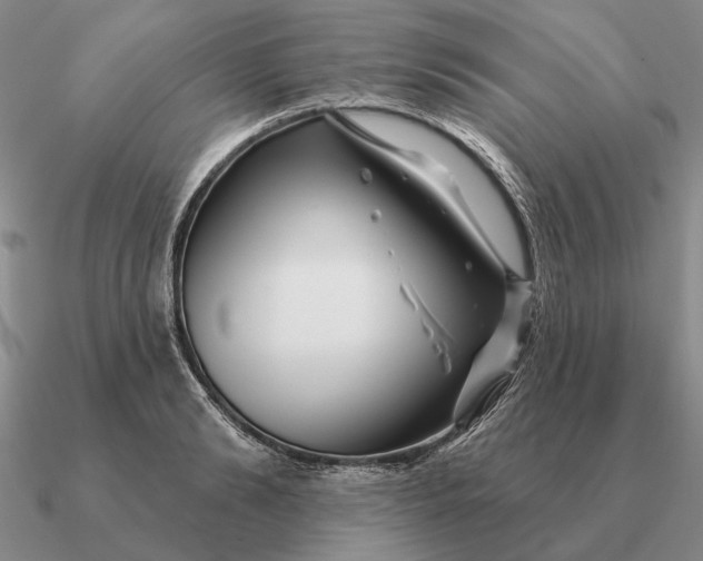 X0000090610894200708071201