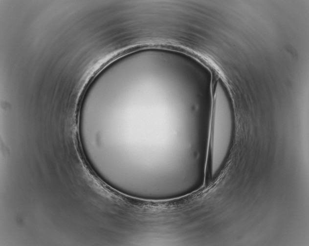 X0000090610895200708071201