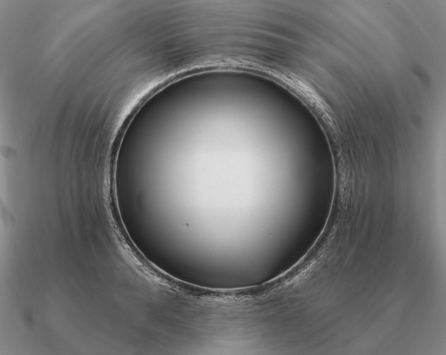 X0000090610896200708071201