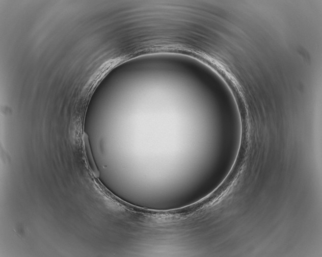 X0000090610897200708071201