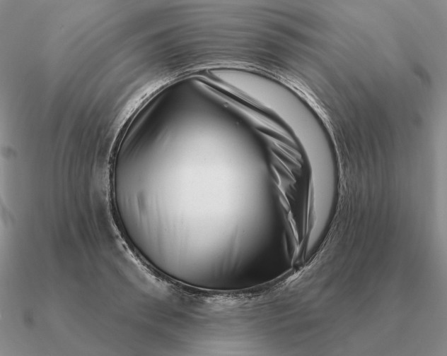 X0000090610898200708071201