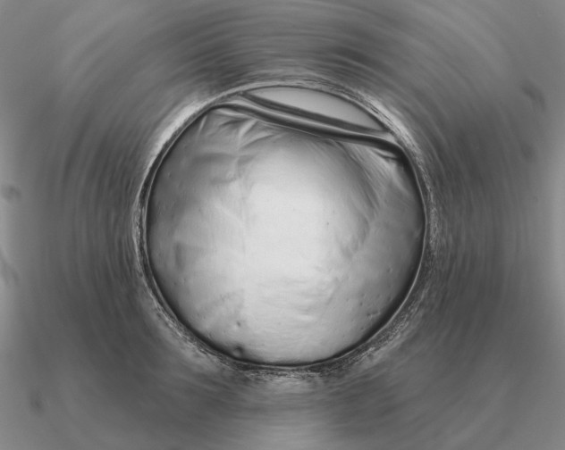 X0000090610899200708071201