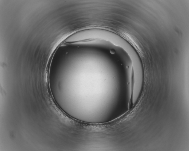 X0000090610900200708071201