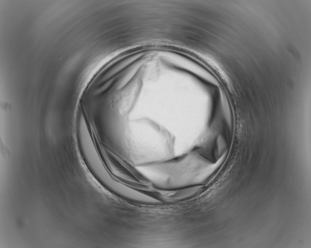 X0000090610903200708071201