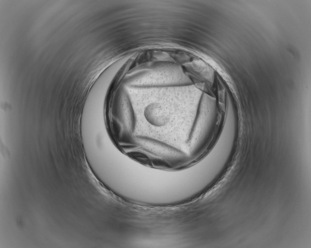 X0000090610905200708071201